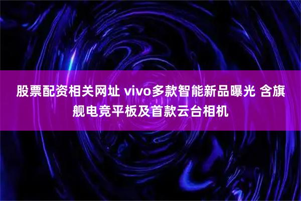 股票配资相关网址 vivo多款智能新品曝光 含旗舰电竞平板及首款云台相机